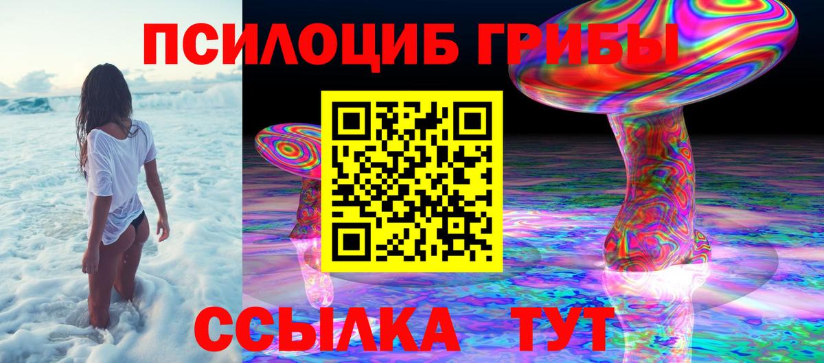 Малгобек  Псилоцибиновые грибы Psilocybe  Вход с VPN 