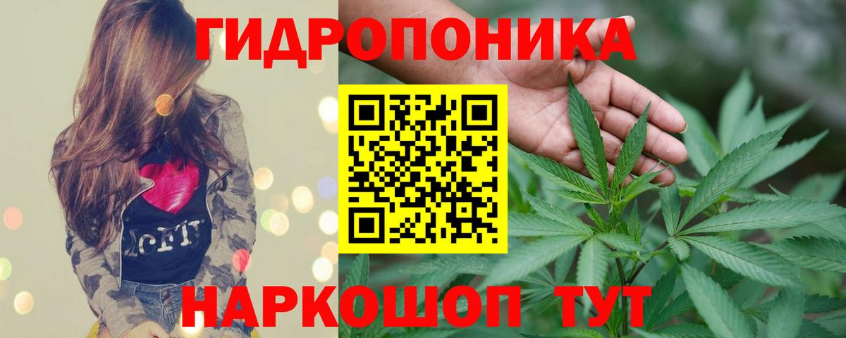Конопля Bruce Banner Малгобек